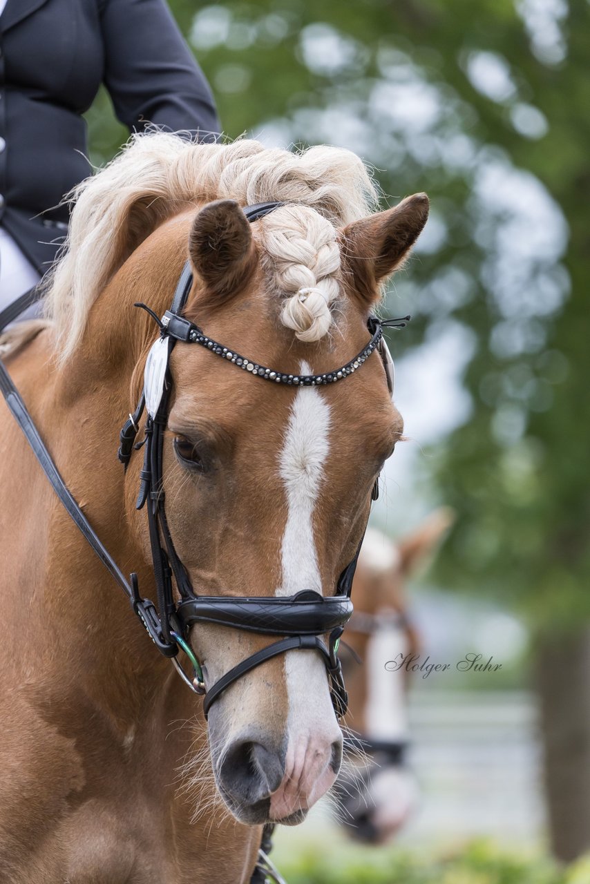 Bild 58 - Pony Akademie Turnier